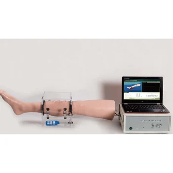 Interaktyvus apatines Galūnes Kraujavimas ir bandaging greitosios Pagalbos Mokymo Sistema(PC versija)