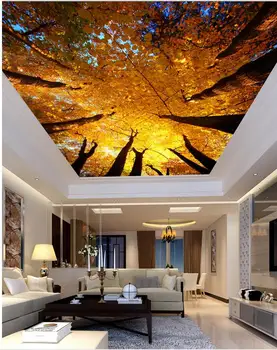 Lubos kambarį miegamojo lubų freskomis 3d stereoscopic 3d tapetai, tapetai kraštovaizdžio